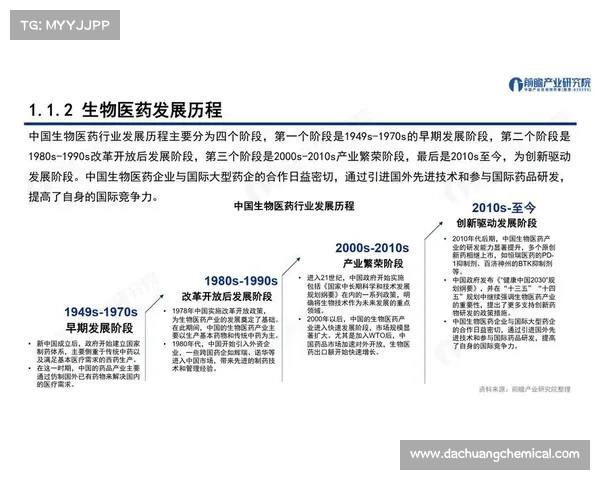 老头杯赛事的文化精神探析与深层解读