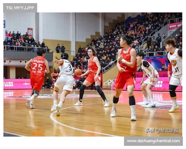 2023赛季CBA圆满落幕精彩回顾与赛季总结分析