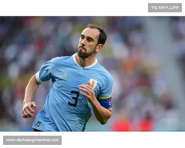 揭秘美洲杯冠军的历史意义与对南美足球格局的深远影响